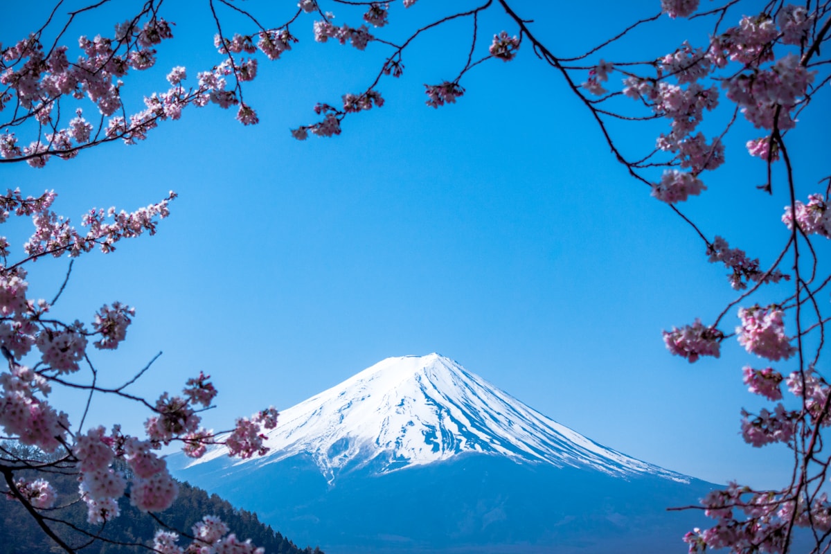 まだ見ぬ旅先へ続く道