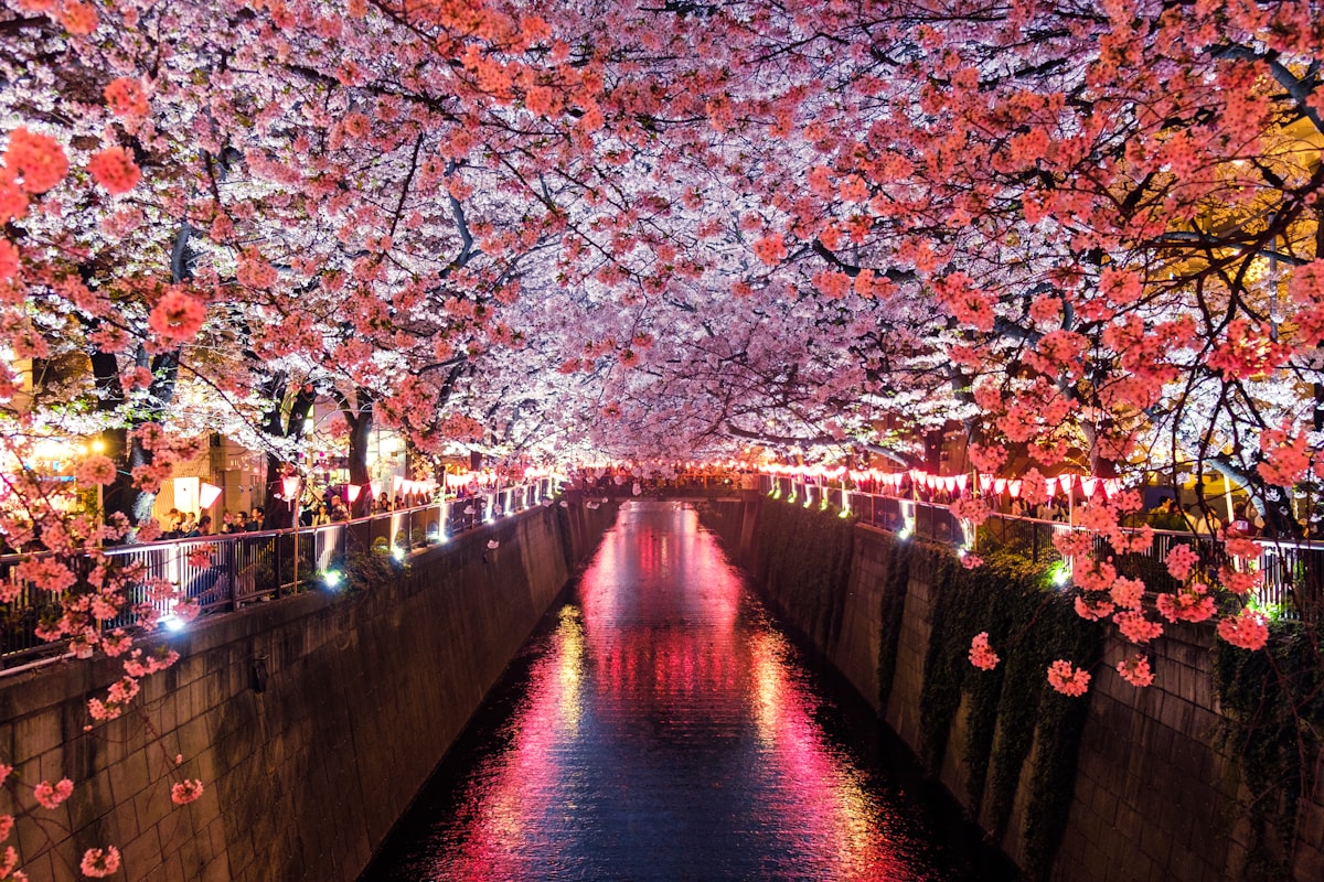 手の跡をたどる旅。