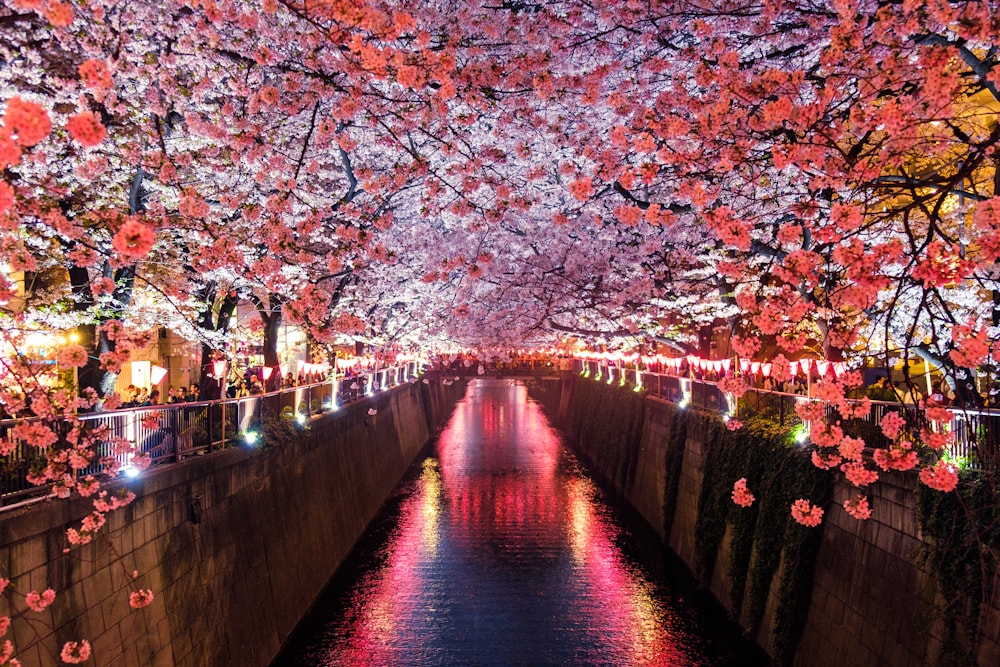 何もしないために、北へ行く。